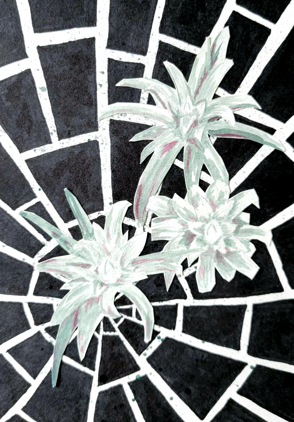 A painting of edelweiss on a shattered background