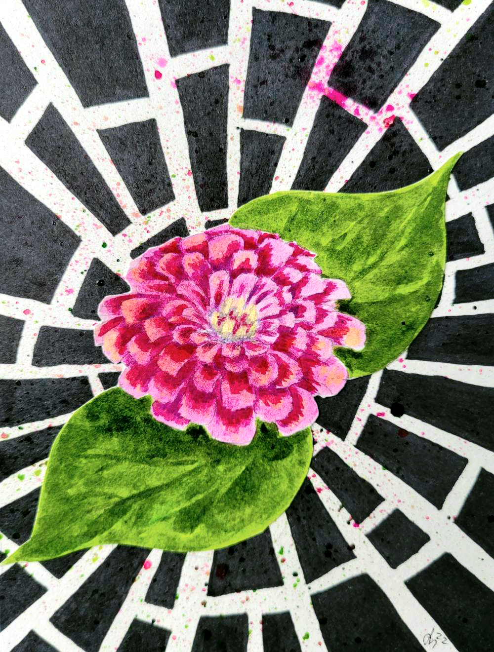 A painting of a pink zinnia on a shattered background