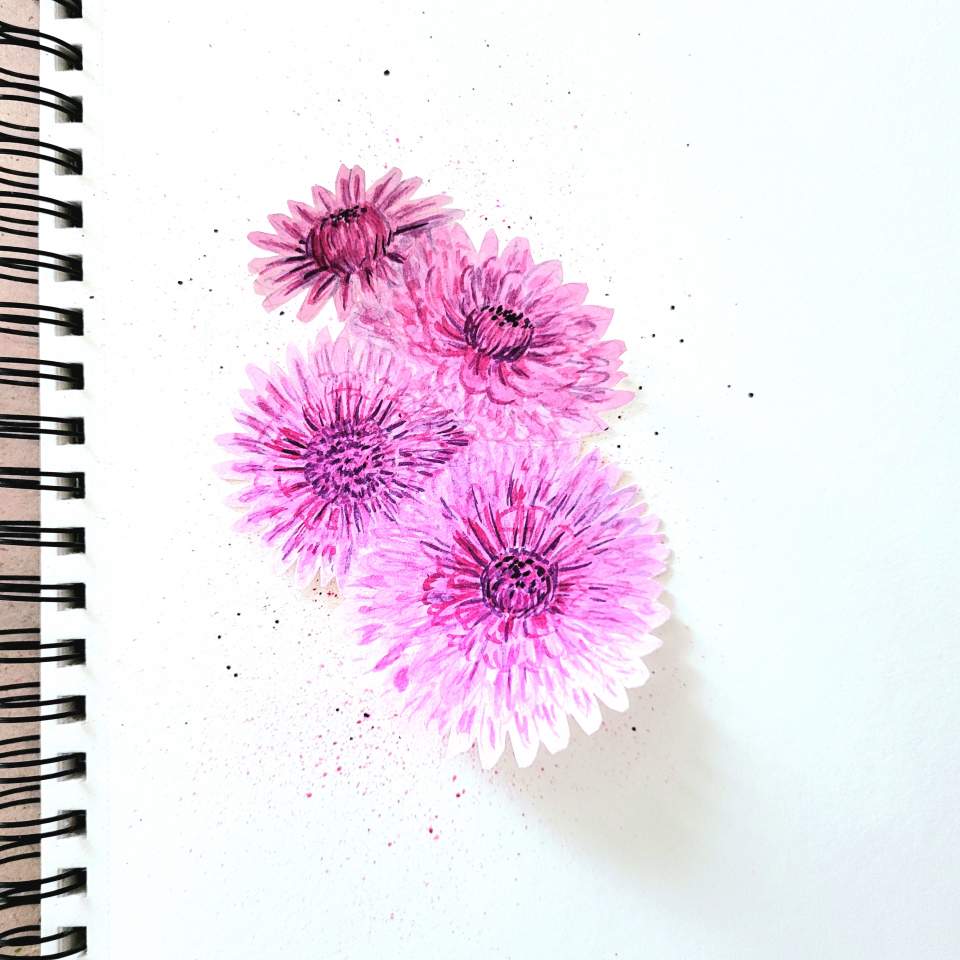 An in-progress India ink painting of chrysanthemum on a shattered background